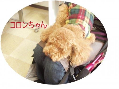 癒されるね♪
