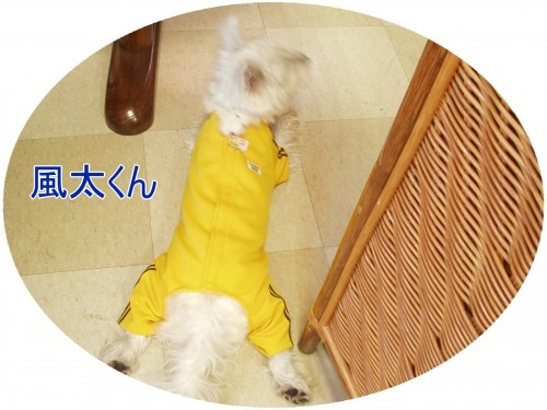 あそぼ~よ~♪