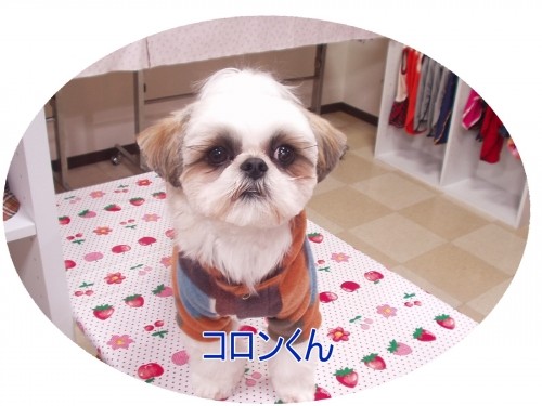 すっきり~♪