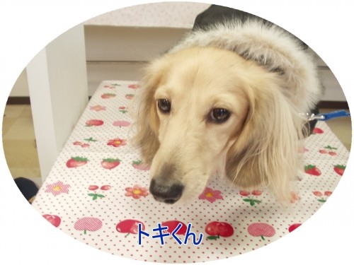 はい！ポーズ♪♪♪