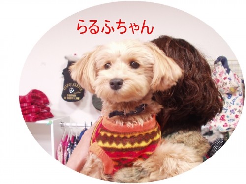 お洋服だ～いすき♪　（U・ω・U）