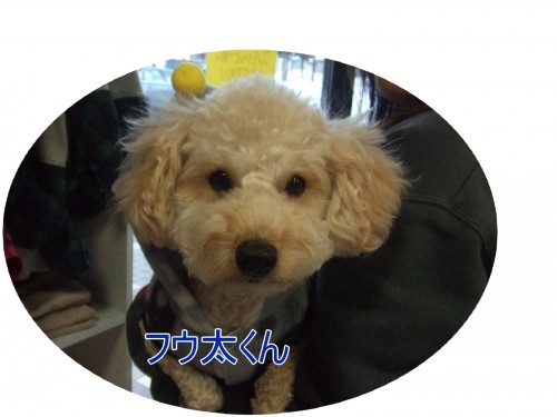 ふるえてます～♪　（U・ω・U）