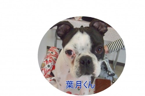 遅くなりました～（U・ω・U）