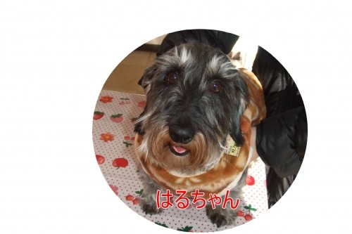 NO2です。