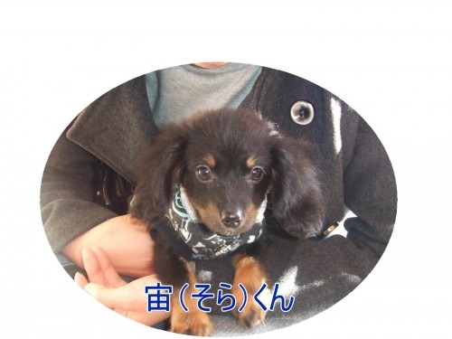 今年もよろしくね～♪（U・ω・U）