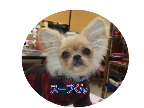 可愛い～ね♪（U・ω・U）