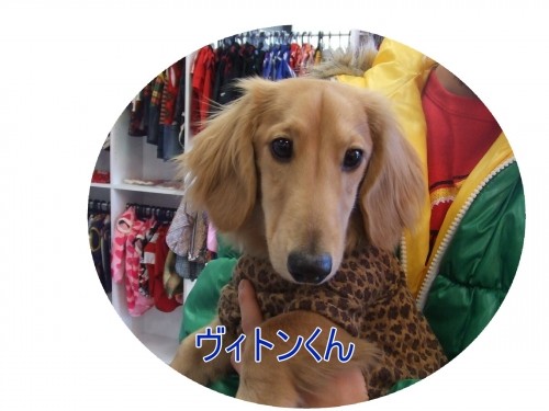 可愛い～　（U・ω・U）