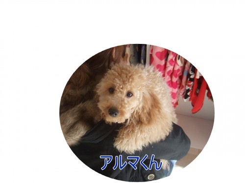 そわそわ。。。（U・ω・U）