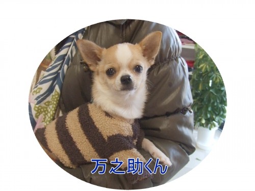 愛らしい～ワ♪（U・ω・U）