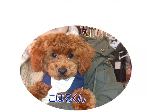 元気いっぱい♪（U・ω・U）