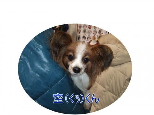 ＮＯ２です♪