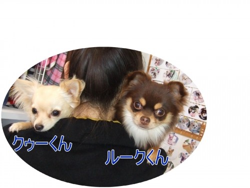 ママの抱っこ大好き♪