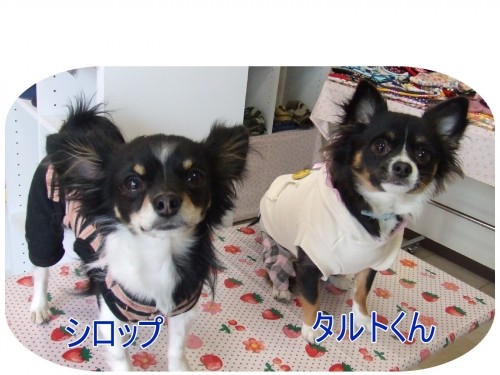 仲良しだよ～（U・ω・U）