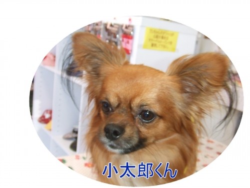 そっちに何かある～？？？（U・ω・U）