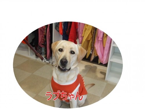 手づくり服大好き♪