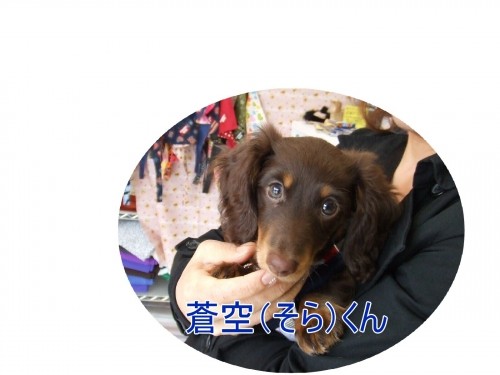 遅くなってごめんね(U・ω・U)