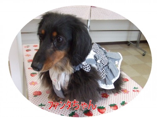 誕生日おめでとう～♪（U・ω・U）