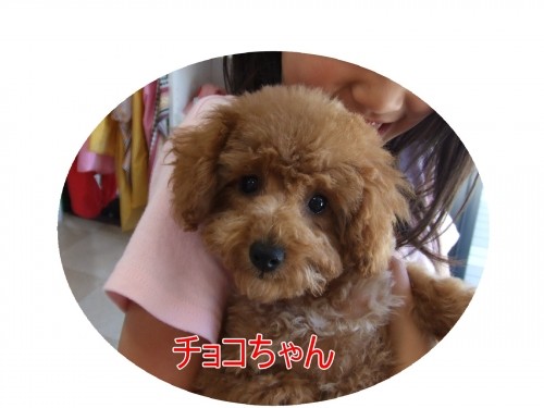 １２日土曜日のお客様（U・ω・U）