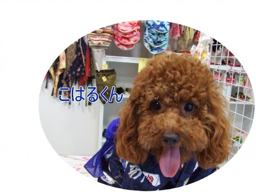 ＮＯ２です