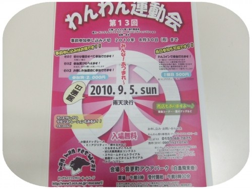 本日午後４時までの営業です♪