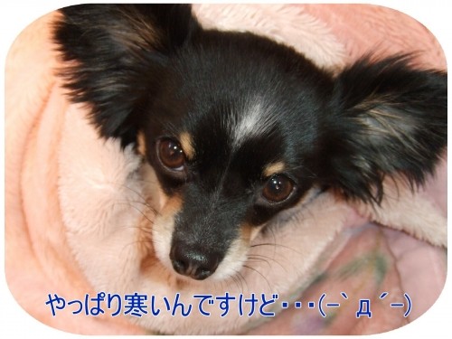 営業部長～久しぶりの出勤♪