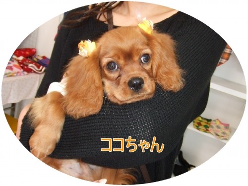 先週ご来店のお客さま♪