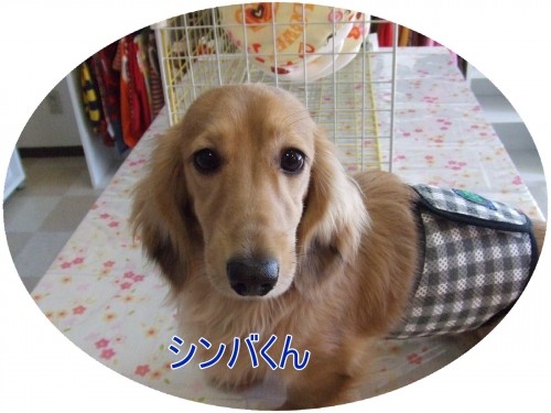 ＮＯ２です♪