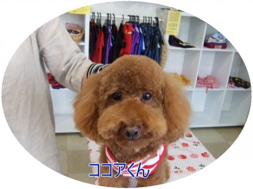 先週ご来店のお客様♪