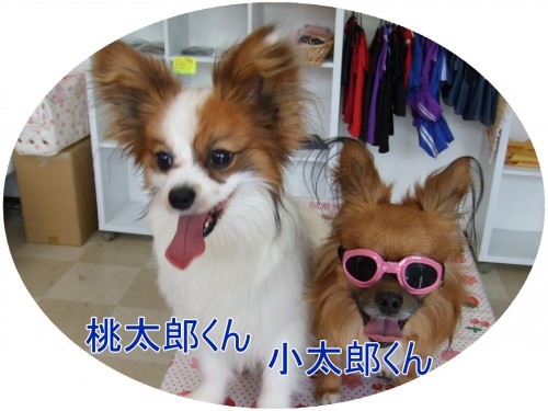 続きです。ＮＯ２