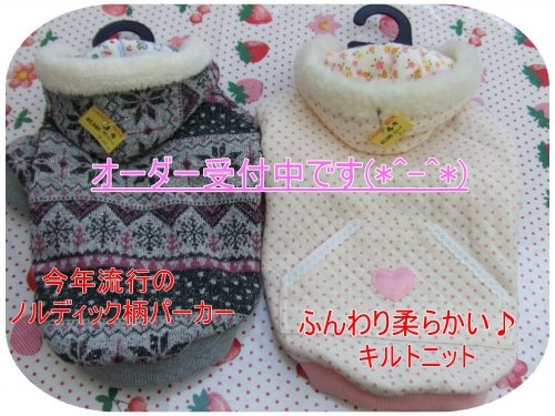 移転オープンしました(U^エ^U)