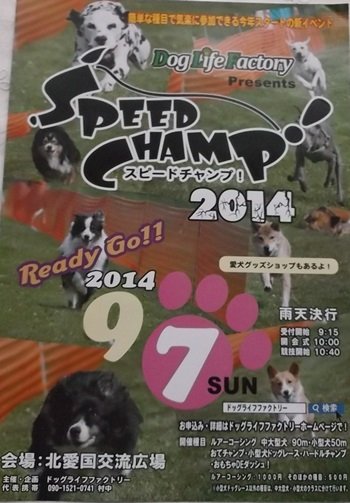 新イベント スピードチャンプのお知らせ