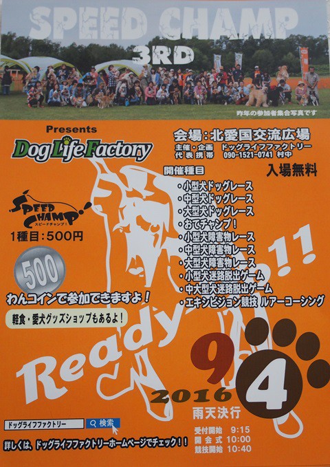 犬 イベント 第3回 スピードチャンプ