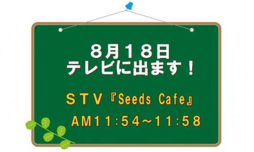 １８日　テレビに出ます！