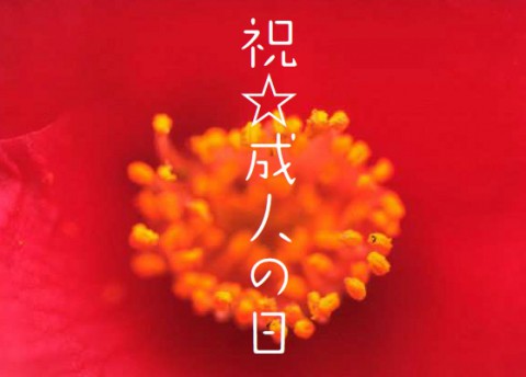 我が社の新成人\(^o^)/