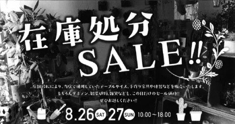 ブログ読者様限定!一足先にお得なセール情報をお知らせ(^O^)/