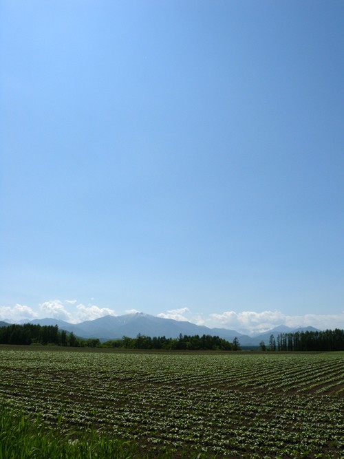いよいよ近づいてきました!夏だ!ホコテンだ!