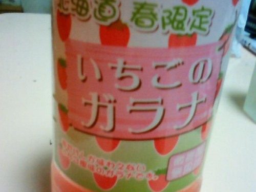 行ってきまーす