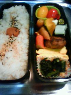だぁりんご飯、本日のお弁当