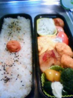 だぁりん、本日のお弁当