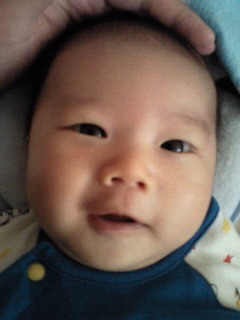紗助(さすけ)。