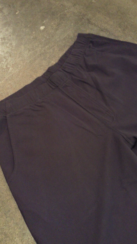 Patagonia Men's Ginseng Shorts。