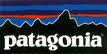 Patagonia Men's Torrentshell Pants。
