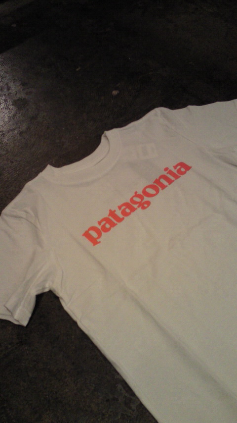 Patagonia Boys' Text Logo T-Shirt。