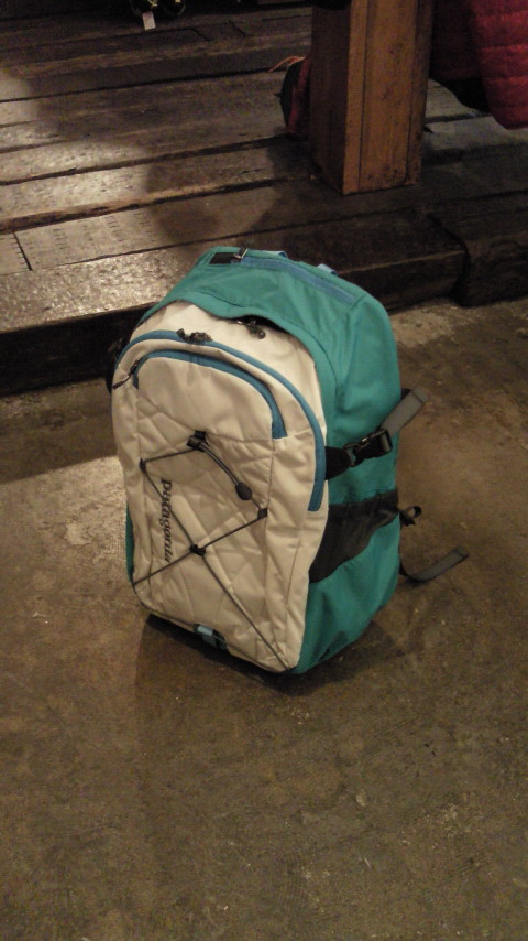 Patagonia Cascada 30L