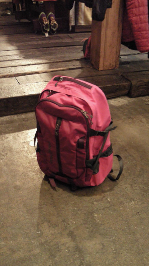 Patagonia Refugio Pack 28L