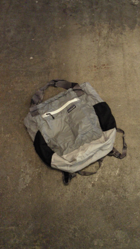 Patagonia Lightweight Travel Tote
