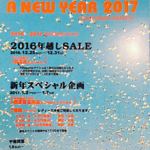 明日も、新年スペシャル企画!!