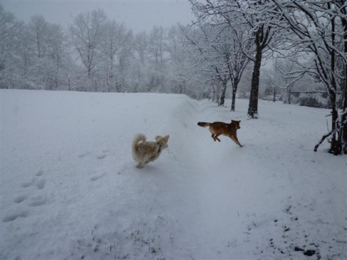 冬きたりなば春とうからじ