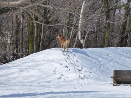 本日は晴天なり！
