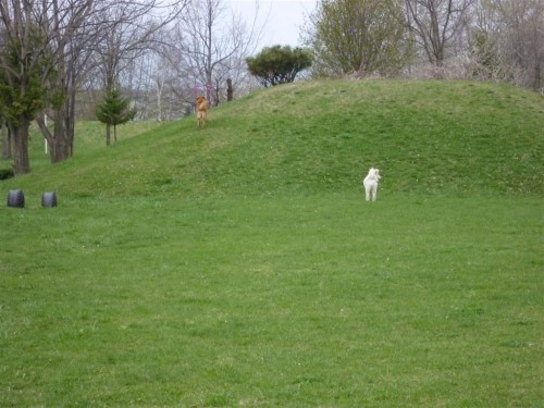 野を超え山を越え～